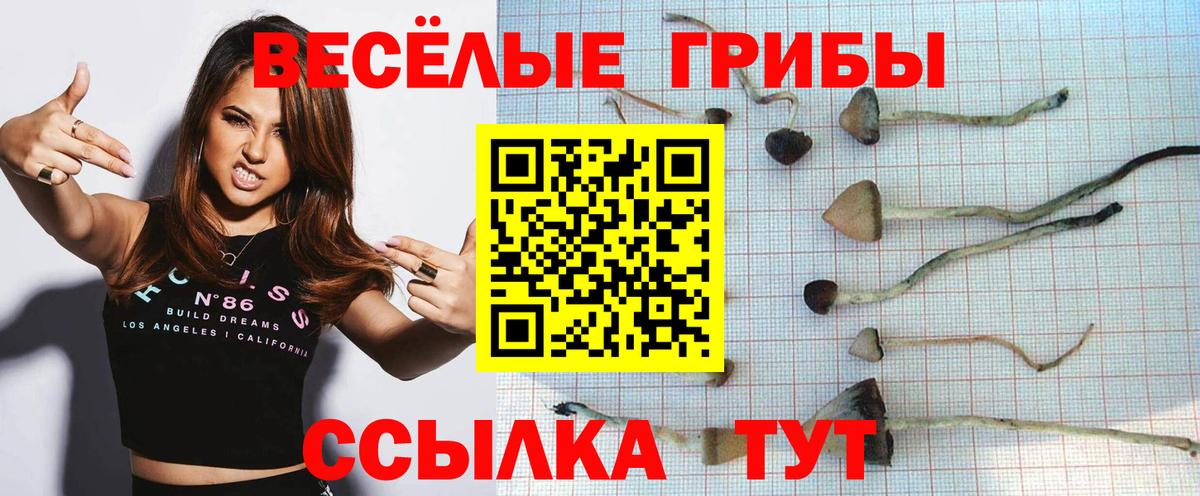 A-PVP Курчатов